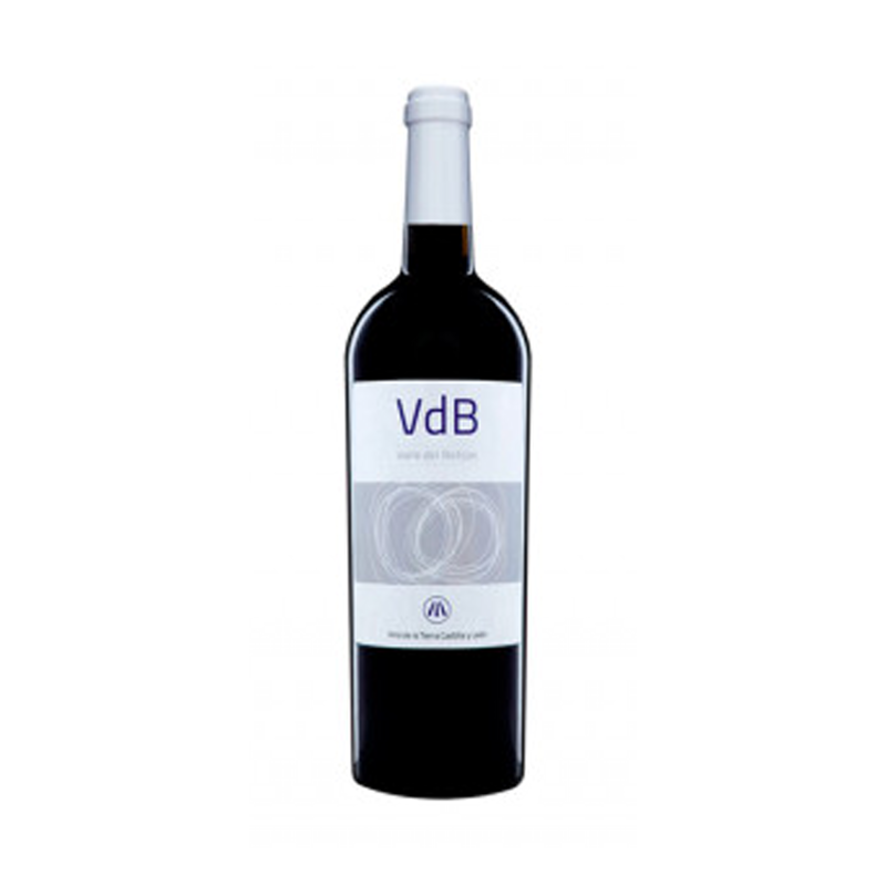 Vino Tinto Valle del Botijas Crianza