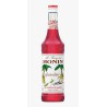 Sirope Monin Granadina