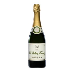 Sidra Valle, Ballina y...