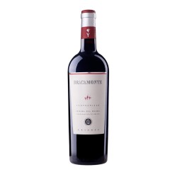 Vino Tinto Bracamonte Crianza
