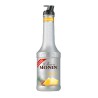 Puree Monin Piña 1L