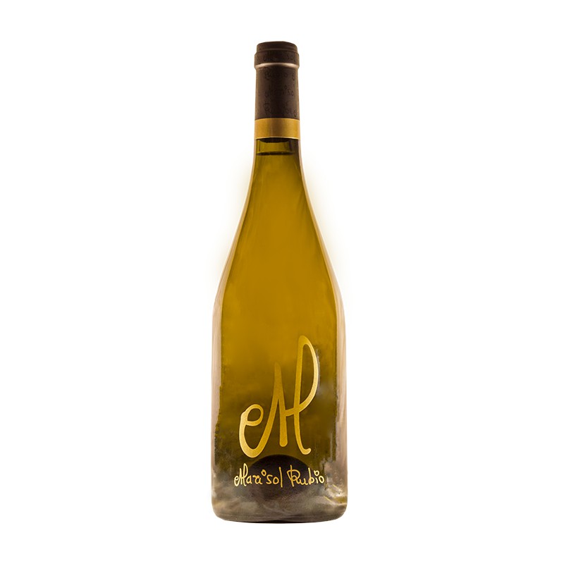 Vino CIPMA I Marisol Rubio