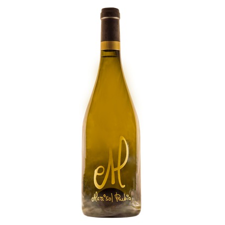 Vino CIPMA I Marisol Rubio