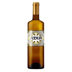 Vino Blanco Txakoli Adur