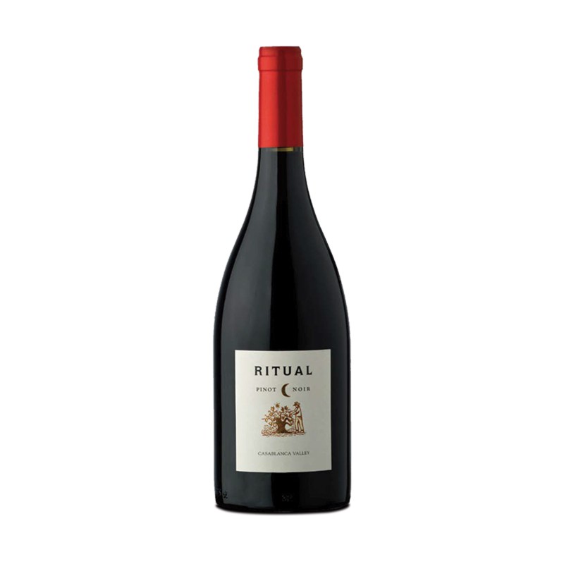Vino Tinto Ritual Pinot Noir