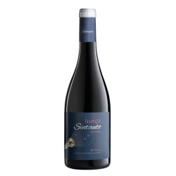 Vino Tinto Sintauto Graciano