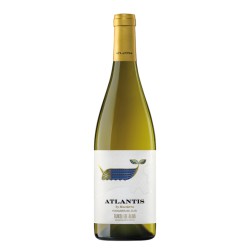 Vino Blanco Atlantis Txacolí 