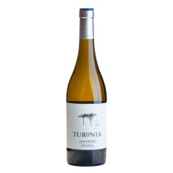 Vino Blanco Turonia