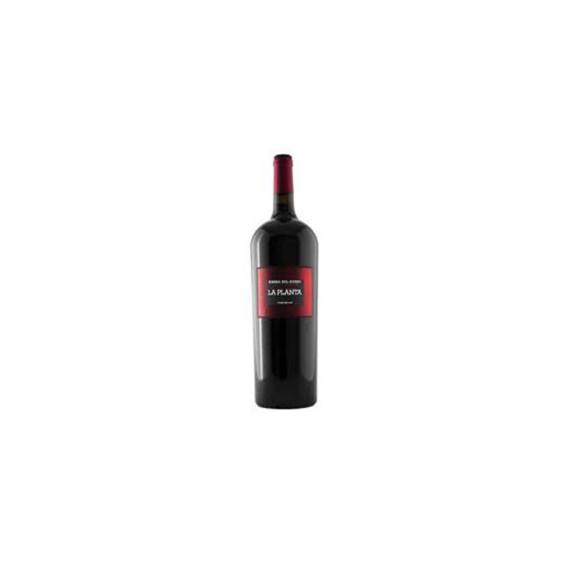 Vino Tinto La Planta de Arzuaga Magnum 1,5 Litros