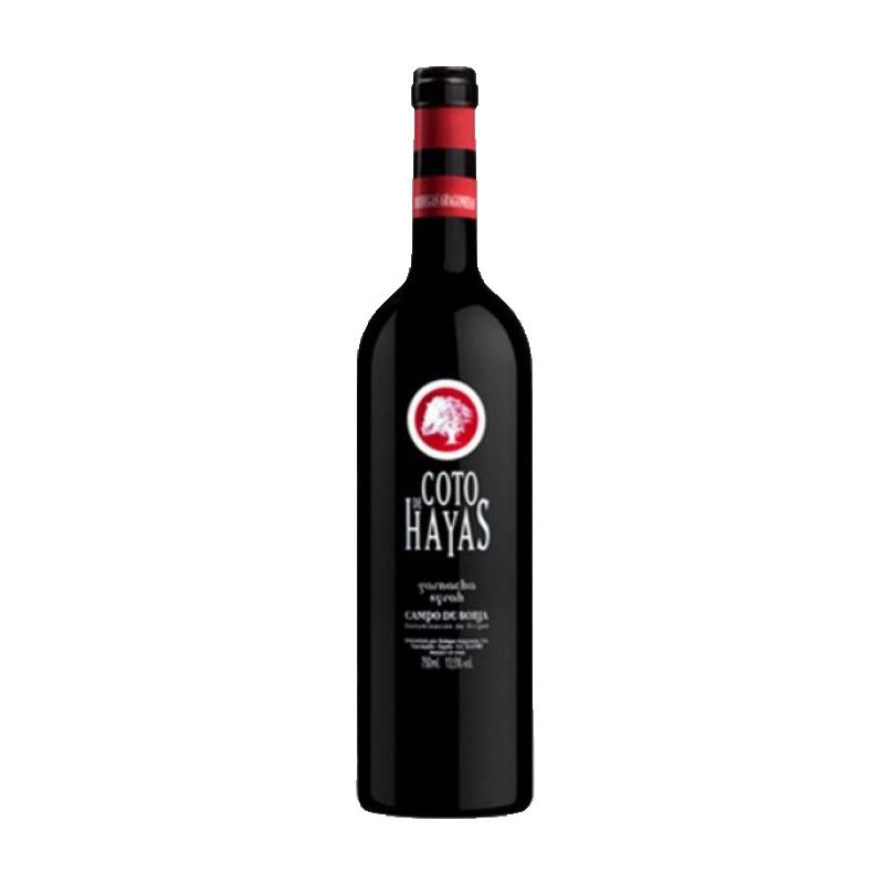 Vino Tinto Coto de Hayas Joven Magnum