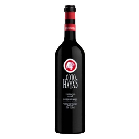 Vino Tinto Coto de Hayas Joven Magnum