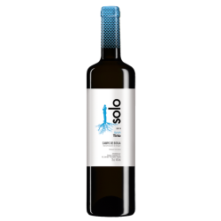 Vino Tinto Coto de Hayas...