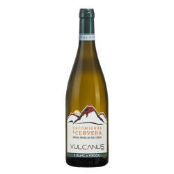 Vino Blanco Vulcanus