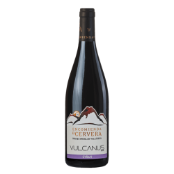 Vino Tinto Vulcanus Syrah