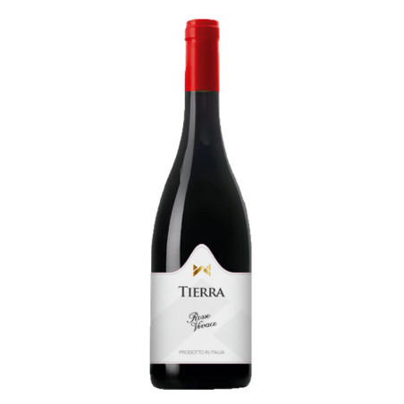 Vino Tinto Tierra Rosso Vivace