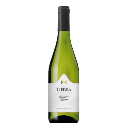 Vino Blanco Tierra Bianco Vivace