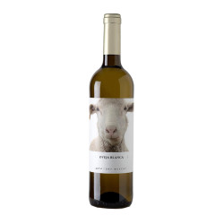 Vino Blanco Oveja Dry Muscat