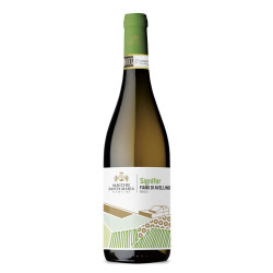 Vino Blanco Signifer Macchie Santa Maria