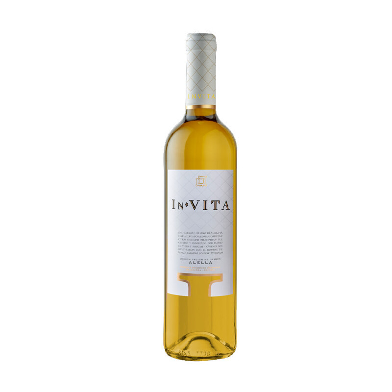 Vino Blanco In Vita