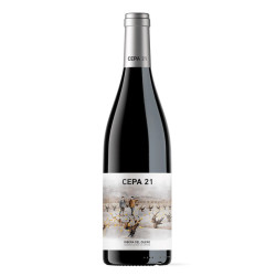 Vino Tinto Cepa 21