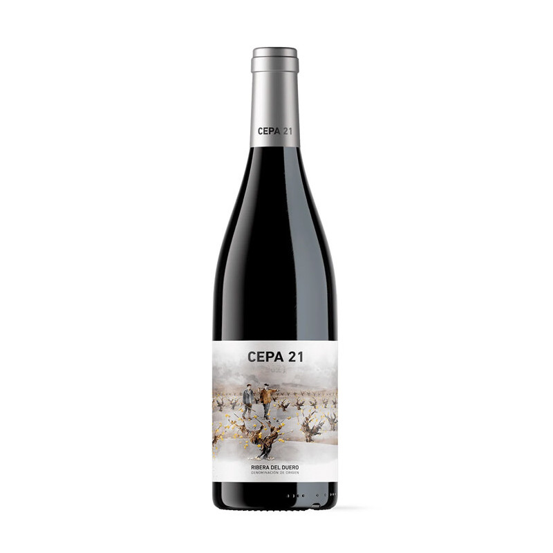 Vino Tinto Cepa 21