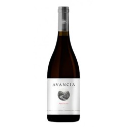 Vino Tinto Avancia Mencía Nobleza