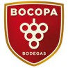 Bodegas Bocopa