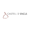 Castell D'Encus