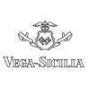 Bodegas Vega Sicilia